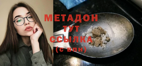 хмурый Пересвет