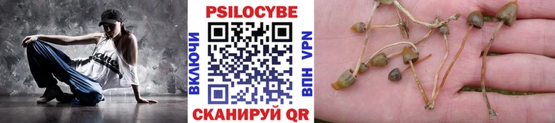 как найти закладки  Тутаев  Псилоцибиновые грибы Magic Shrooms 