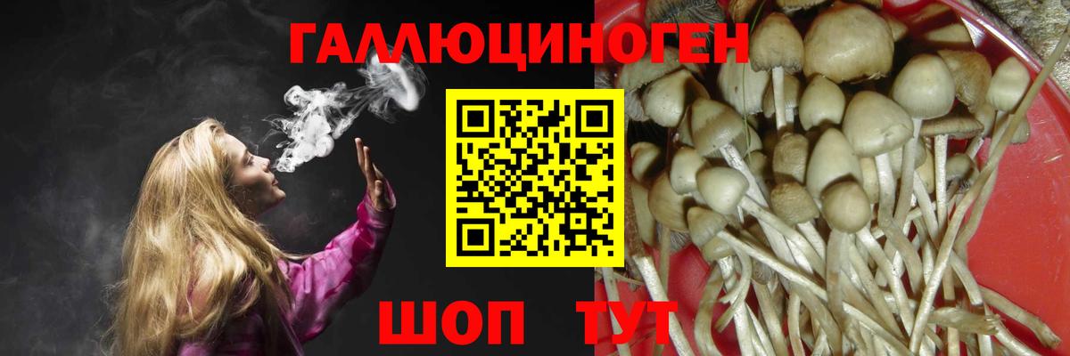 Псилоцибиновые грибы Psilocybe  Вход с VPN  Псилоцибиновые грибы мухоморы  Тутаев 